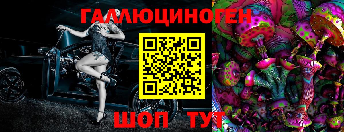 Псилоцибиновые грибы Psilocybe Томск