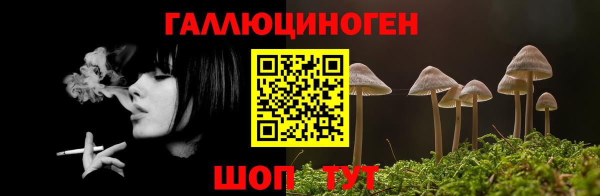 Галлюциногенные грибы Psilocybe  Вход с VPN  цена   Томск 